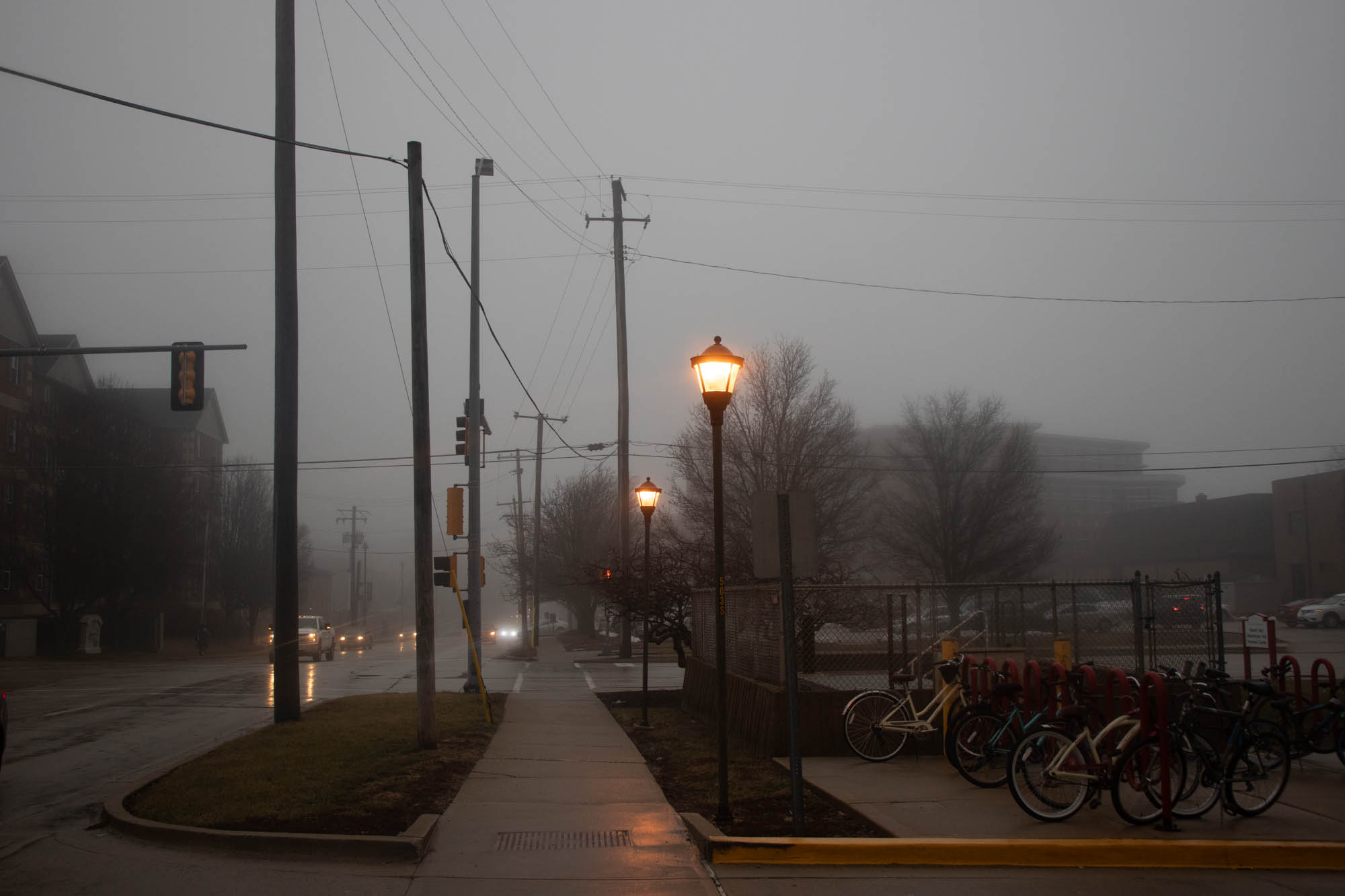 Bloomington Photography 10