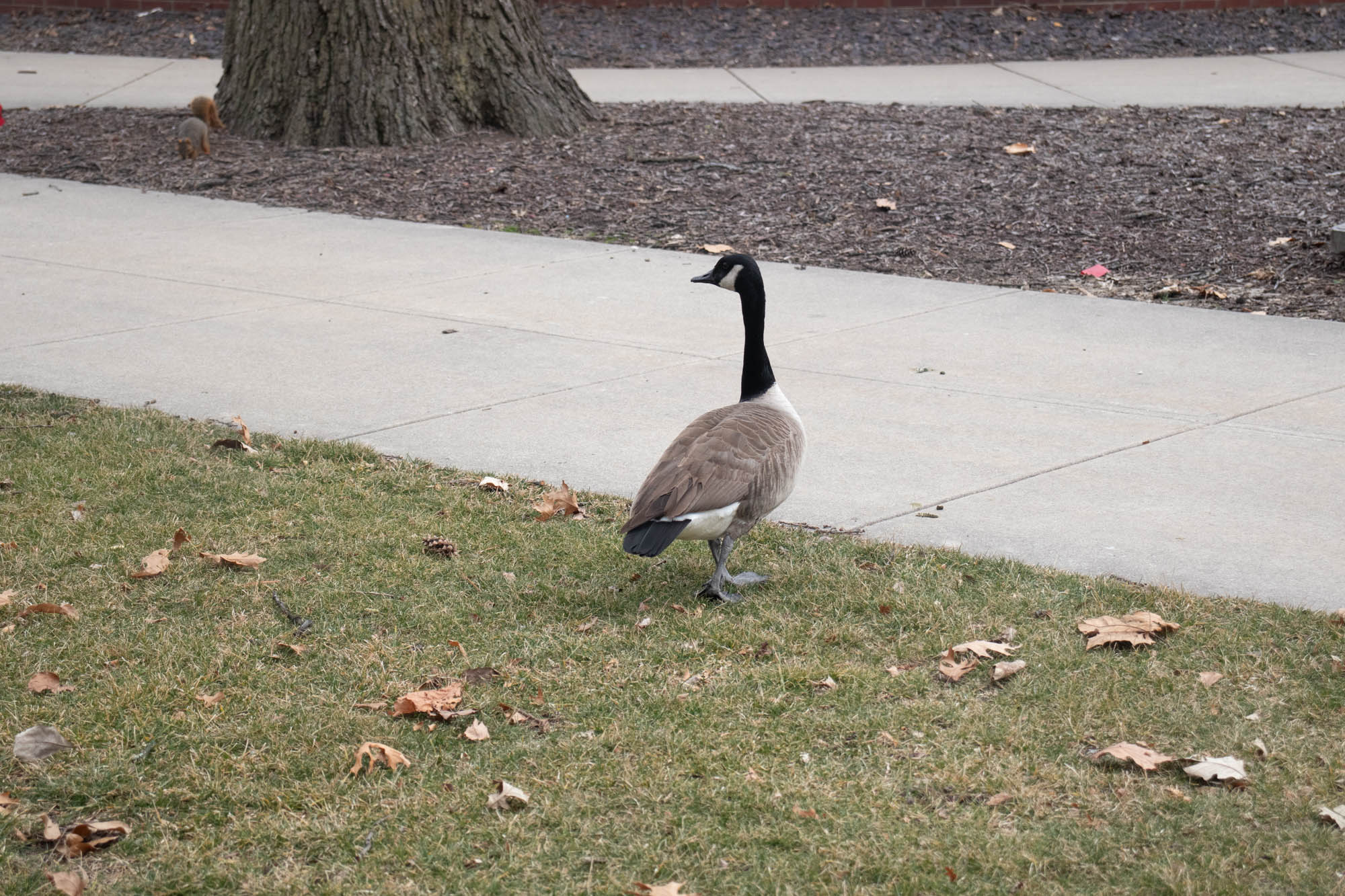 Bloomington Photography 18