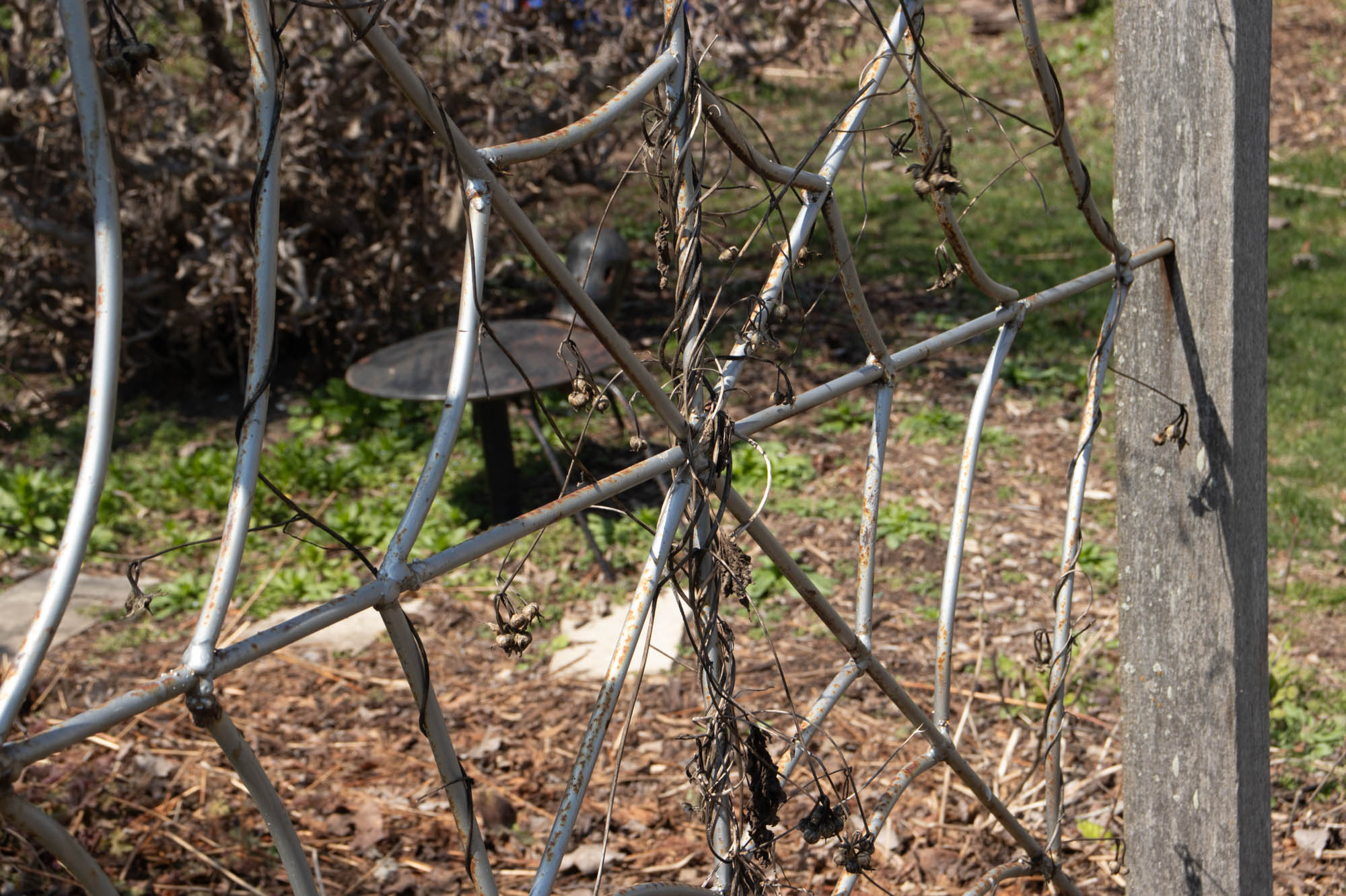 Bloomington Photography 3