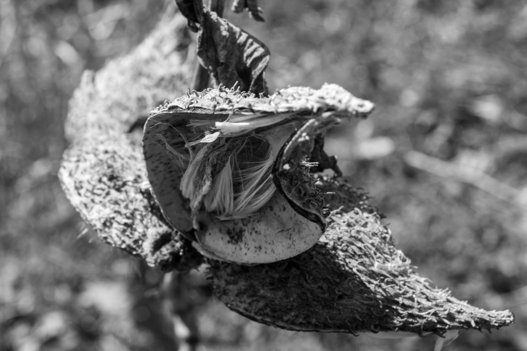 Bloomington Photography 35