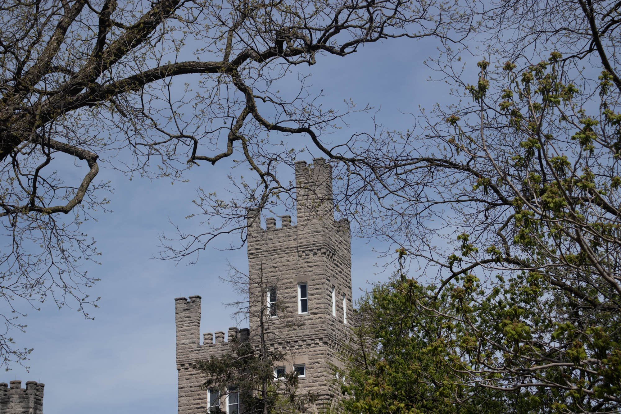 Bloomington Photography 49