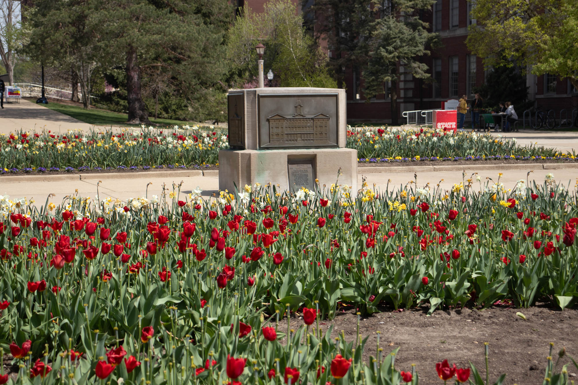 Bloomington Photography 56