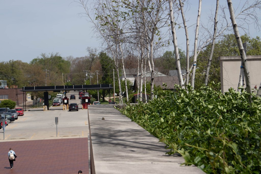 Bloomington Photography 63